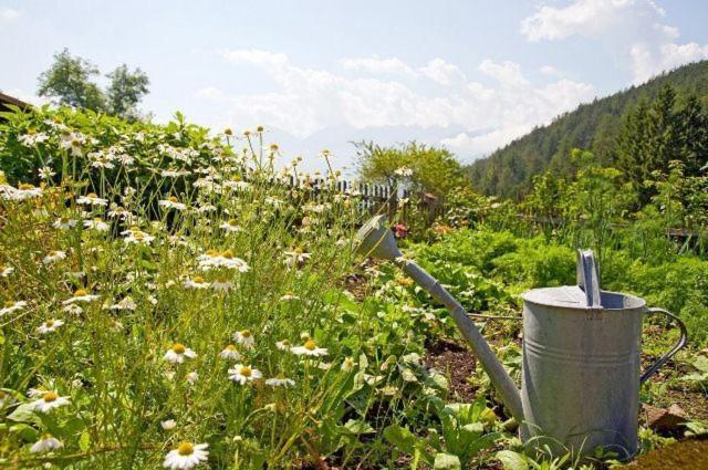 Gapphof Βίλα Reith bei Seefeld Εξωτερικό φωτογραφία